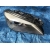 BMW F01 LAMPA PRZÓD PRAWA DYNAMIC XENON UK